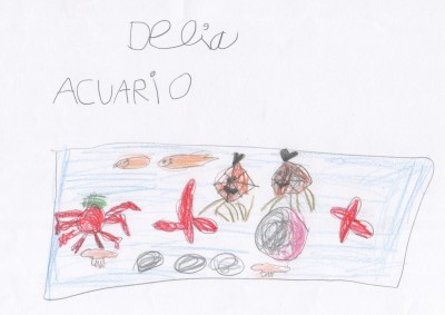 Pulsar para ver a imaxen orixinal